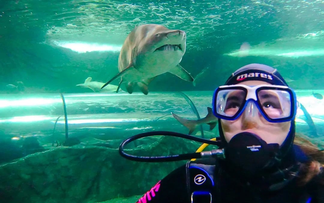 Shark Dive Xtreme Tickets at SEA LIFE Sydney Aquarium Image 8
