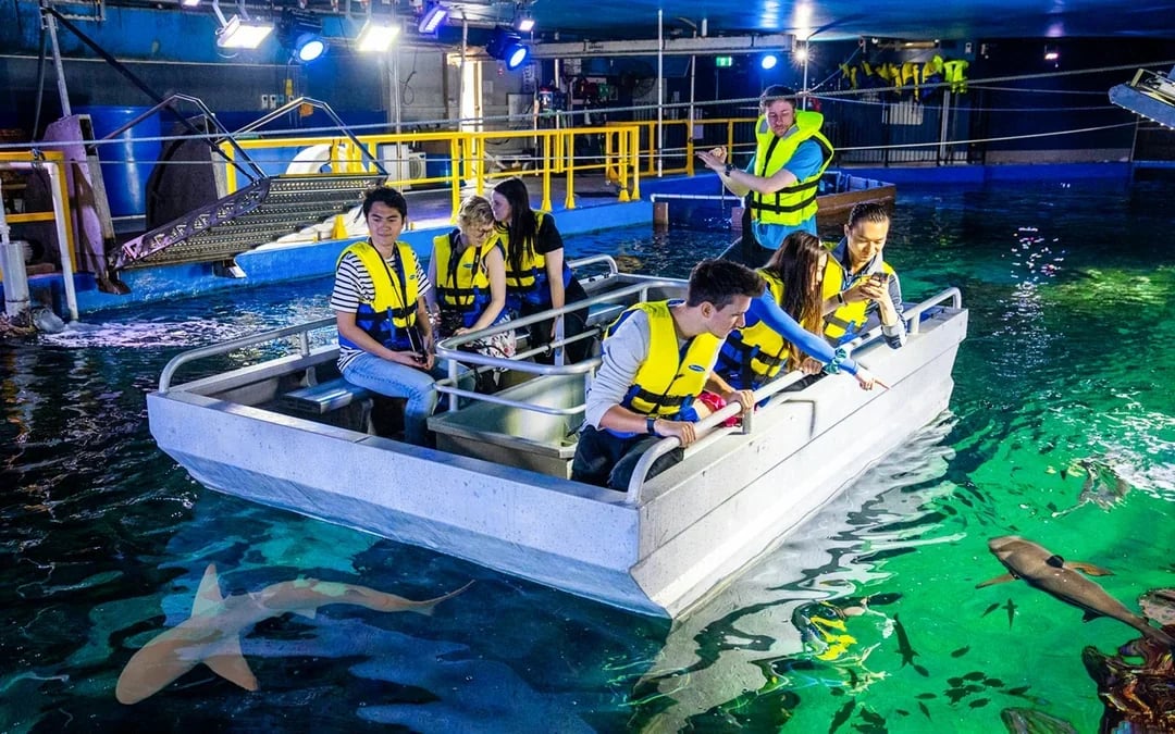 Shark Dive Xtreme Tickets at SEA LIFE Sydney Aquarium Image 9