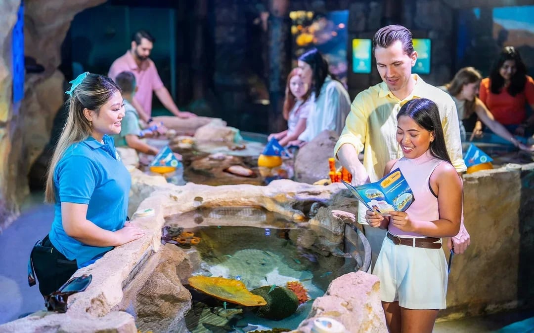 Shark Dive Xtreme Tickets at SEA LIFE Sydney Aquarium Image 10
