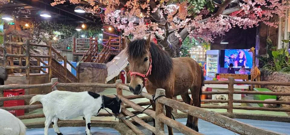 Shenzhen, China｜Ye En Animal Park Tickets (Longgang Wanda Plaza Store)