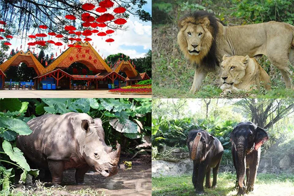 Shenzhen Safari Park Tickets (e-ticket) | For non-Mainland China residents only | Unlimited access to 7 designated attractions | KKday exclusive offer