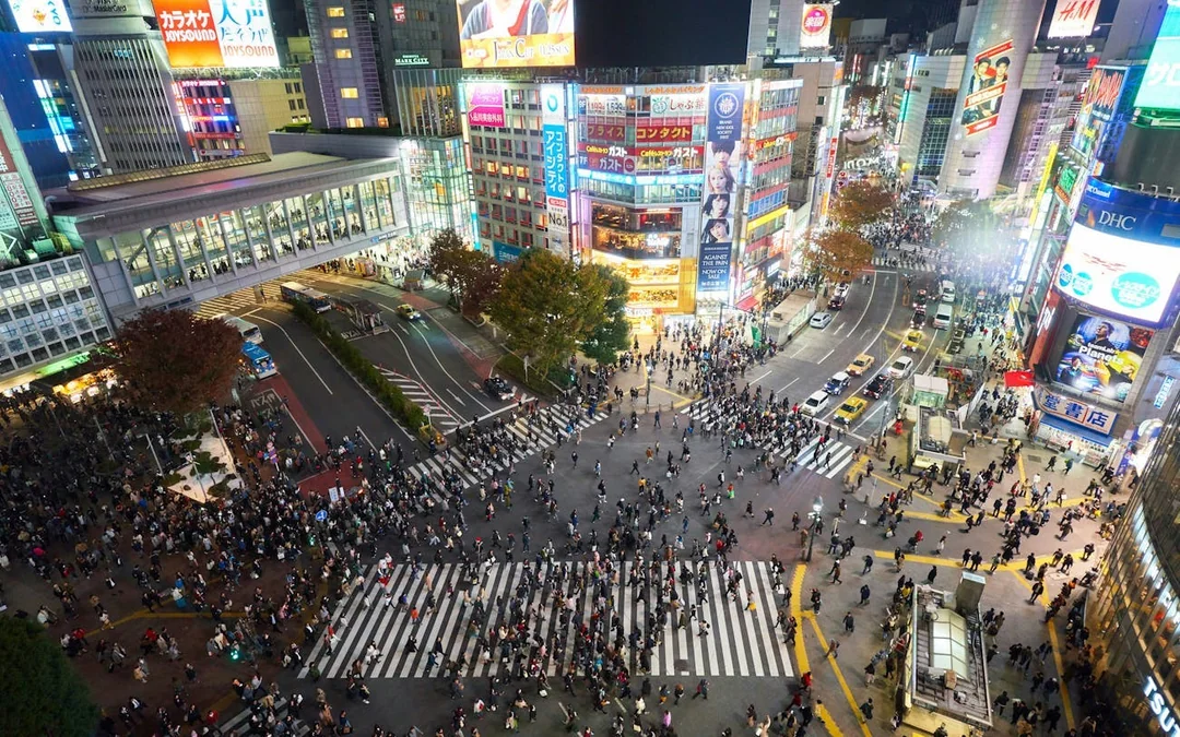 Shibuya Sky Tickets & Guided Walking Tour Image 4