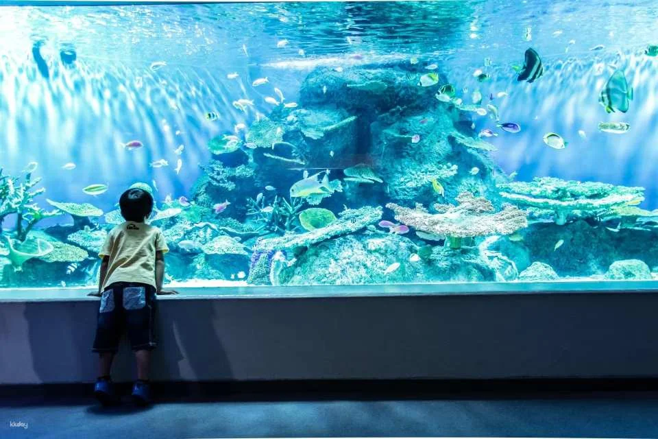 Shinagawa Aquarium, Tokyo, Japan | Tickets