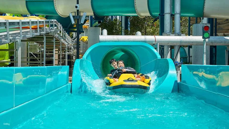 Shinhwa Water Park ticket | Jeju Shinhwa World