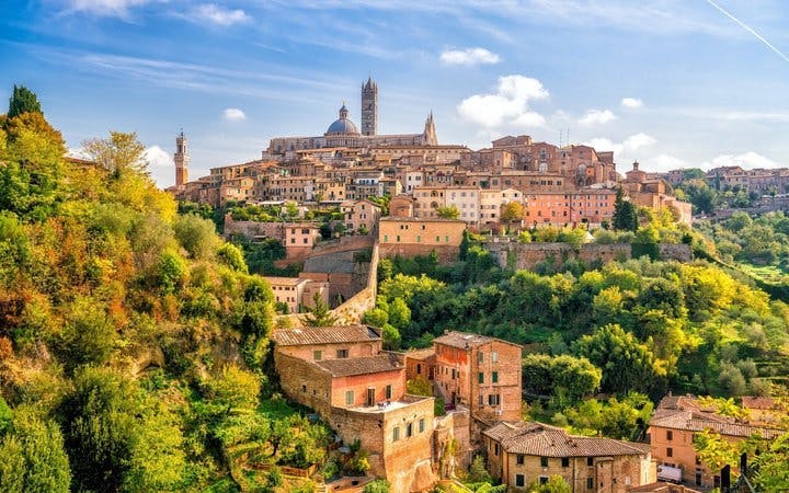 Siena Self-Guided Walking Tour on Mobile App Image 5