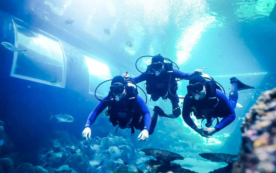 Singapore Oceanarium Dive Programs with Adventure Cove Waterpark Entry Image 1