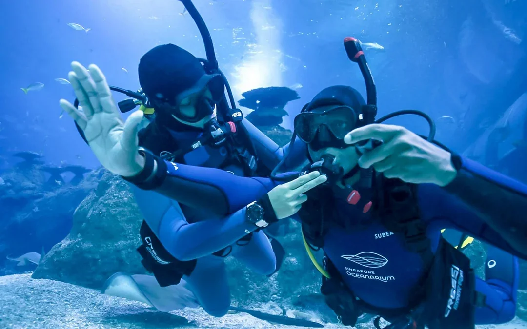Singapore Oceanarium Dive Programs with Adventure Cove Waterpark Entry Image 2