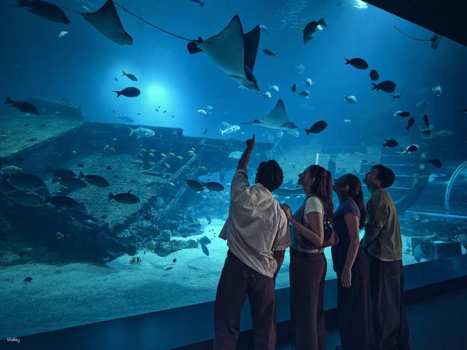 Singapore Oceanarium Ticket | Resorts World Sentosa, Singapore