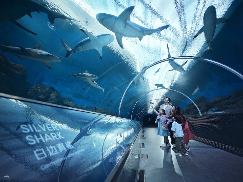 Singapore Oceanarium Ticket | Resorts World Sentosa, Singapore