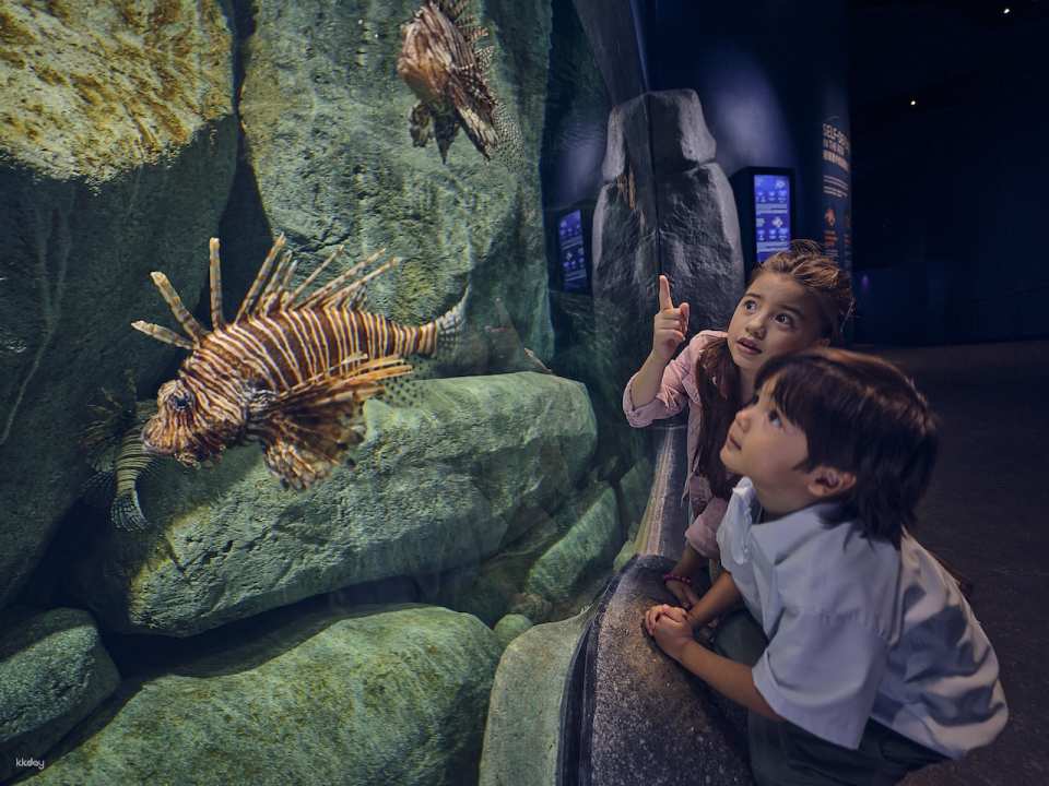 Singapore Oceanarium Ticket | Resorts World Sentosa, Singapore