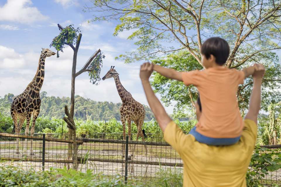 Singapore Zoo Tickets | Mandai Wildlife Reserve, Singapore