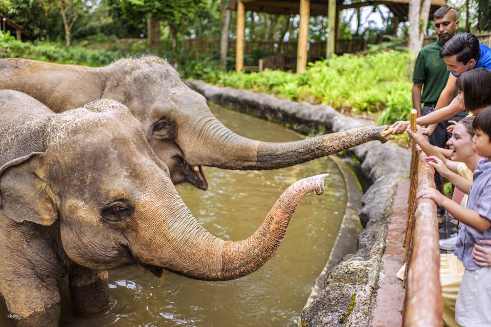 Singapore Zoo Tickets | Mandai Wildlife Reserve, Singapore