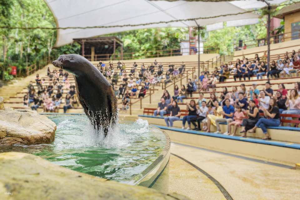 Singapore Zoo Tickets | Mandai Wildlife Reserve, Singapore
