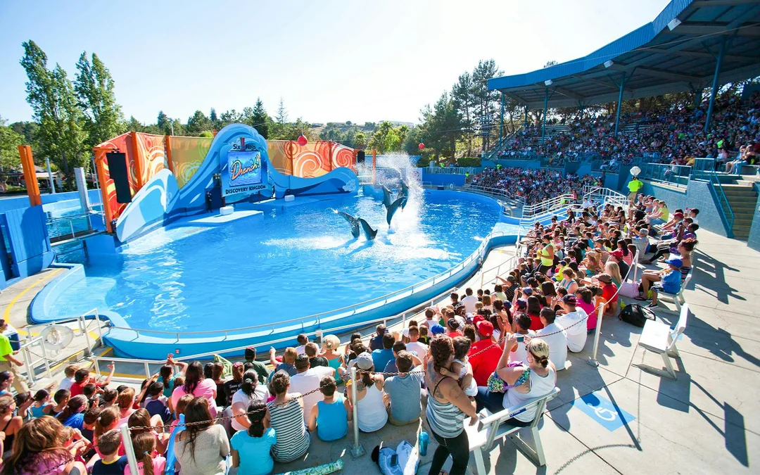 Six Flags Discovery Kingdom Good Any Day Tickets Image 3
