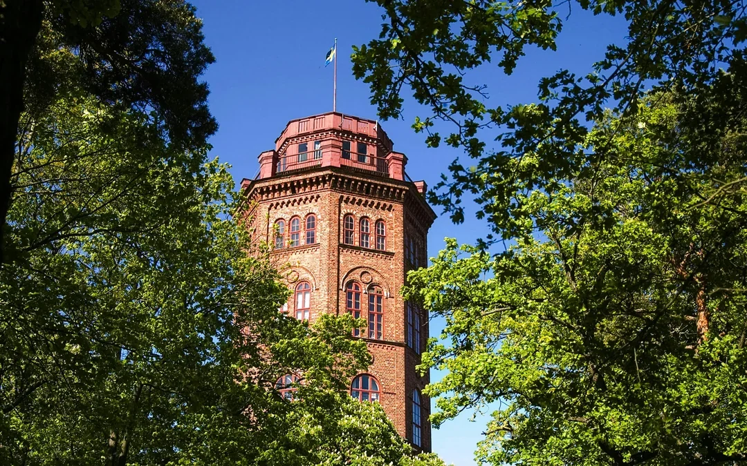 Skansen Open-Air Museum Entry Ticket Image 11