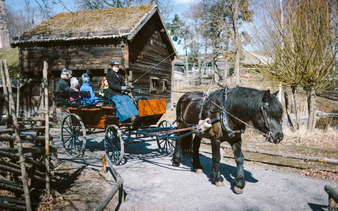 Skansen Open-Air Museum Entry Ticket Image 5