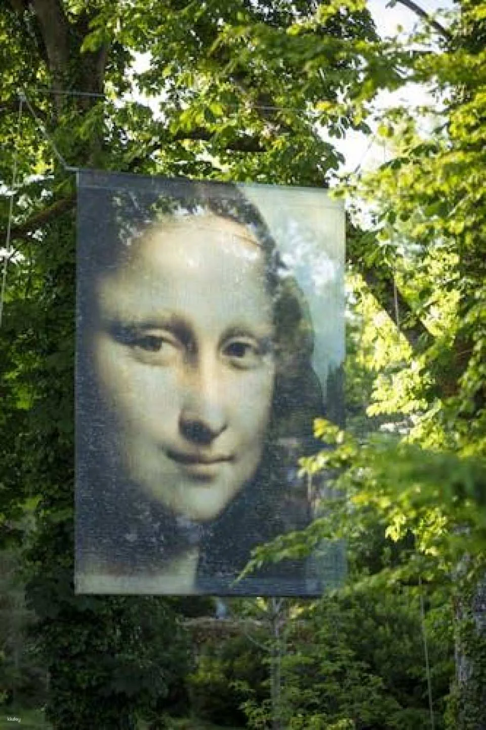 Skip-the-line ticket for Château du Clos Lucé