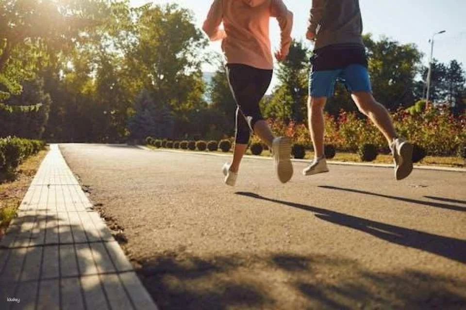 Small-group guided running city tour in Schwerin