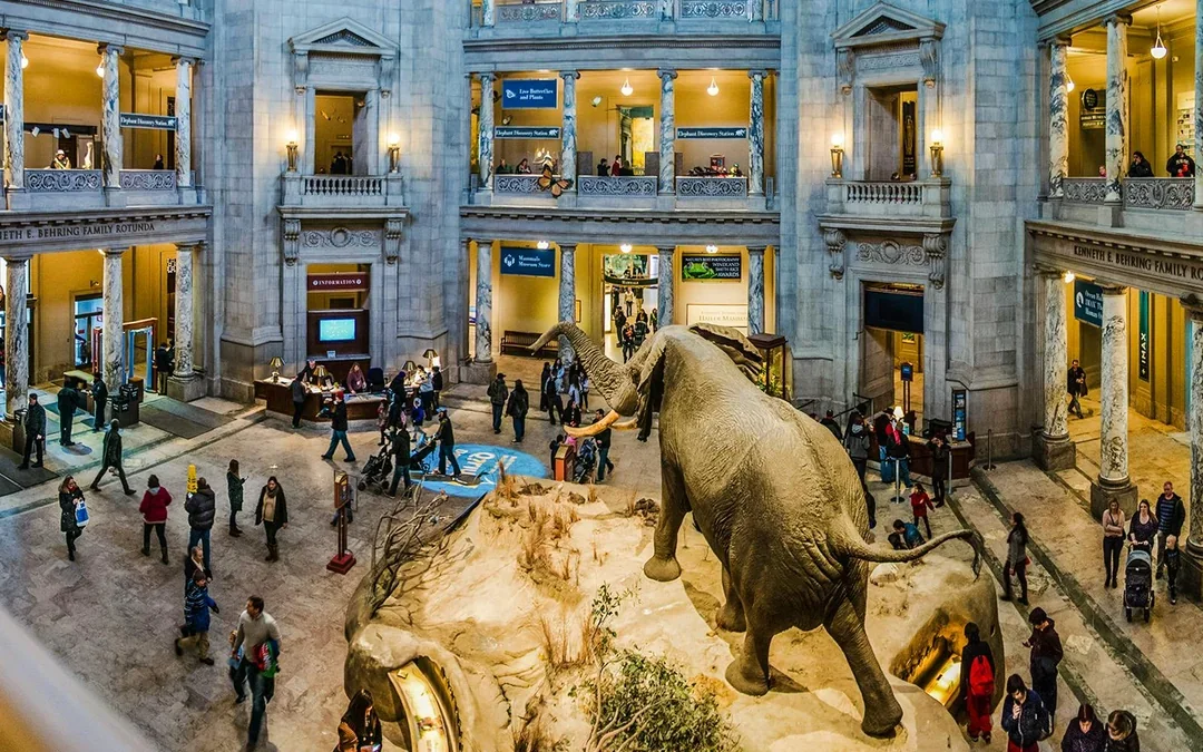 Smithsonian National Museum of Natural History Tours Image 1