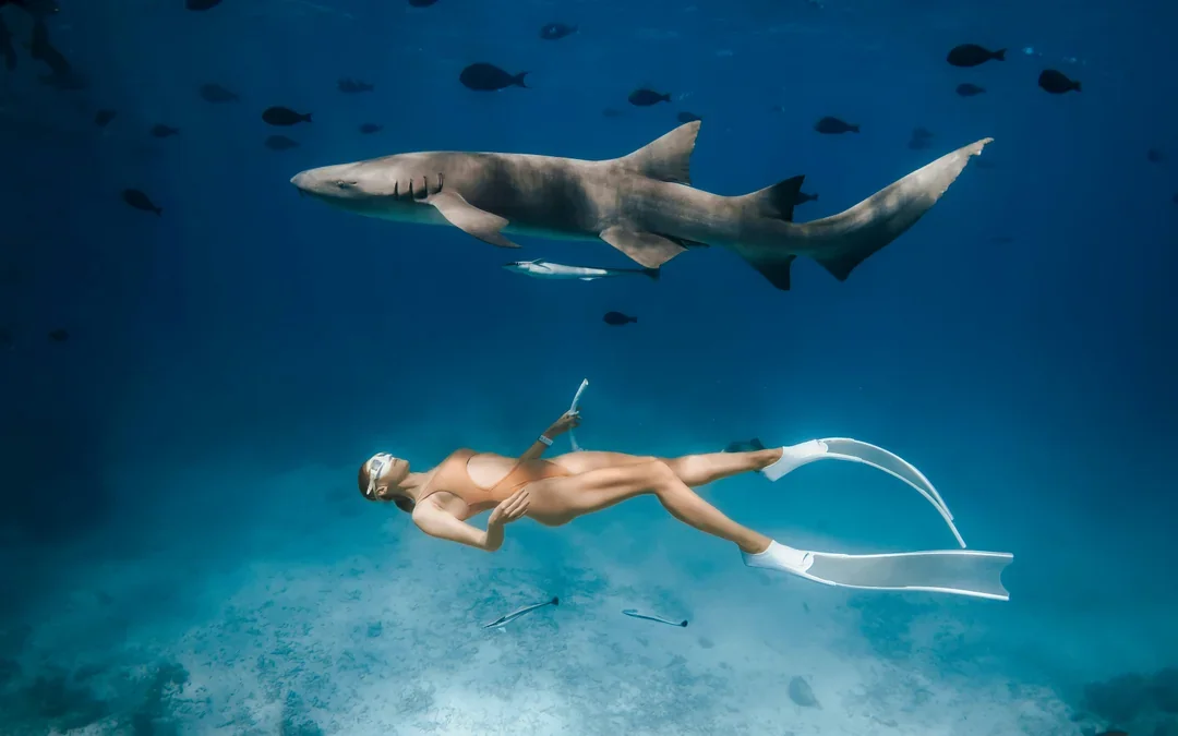 Snorkel with Sharks: Yasawa Island Day Trip With Buffet Lunch & Transfers Image 2