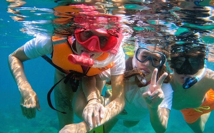 Snorkeling Experience with Turtles in Fujairah Coral Reefs with Equipment and Refreshments Image 1