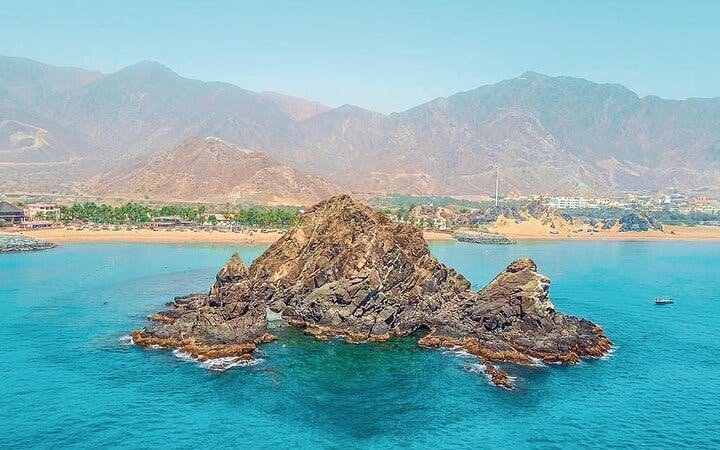 Snorkeling Experience with Turtles in Fujairah Coral Reefs with Equipment and Refreshments Image 2