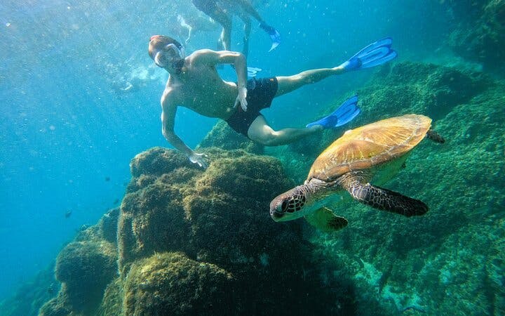 Snorkeling Experience with Turtles in Fujairah Coral Reefs with Equipment and Refreshments Image 5