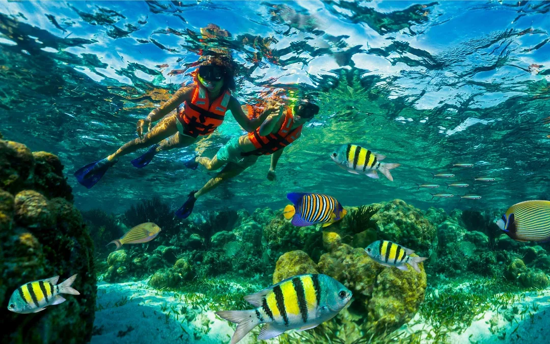 Snorkeling in National Reef Park with Beachside Lunch Image 1