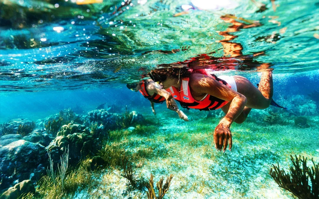 Snorkeling in National Reef Park with Beachside Lunch Image 2