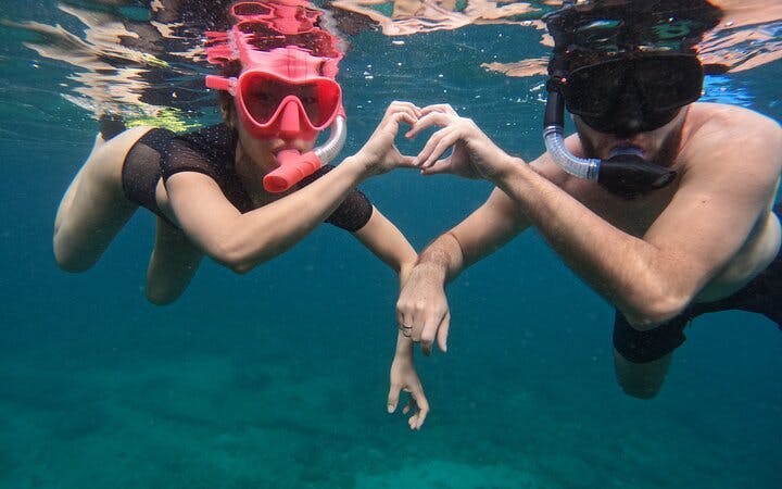 Snorkeling Trip with Turtles in Fujairah Including Hotel Pickup from Dubai and Sightseeing Return Image 10