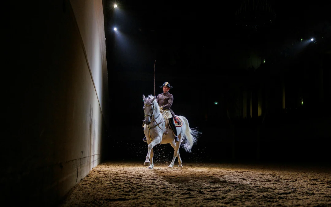 Spanish Riding School Performance of the Lipizzans (70 min) Image 1