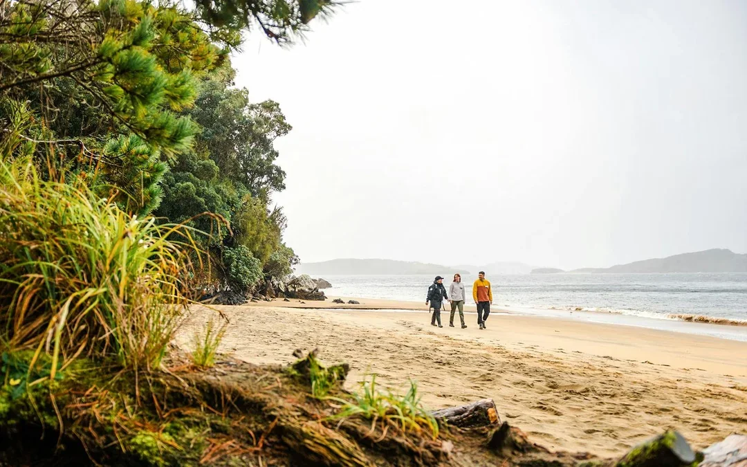 Stewart Island Guided Wilderness Walk Image 2