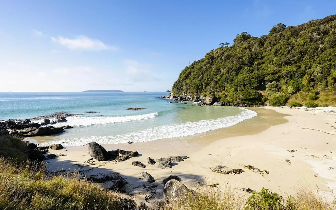Stewart Island Guided Wilderness Walk Image 3
