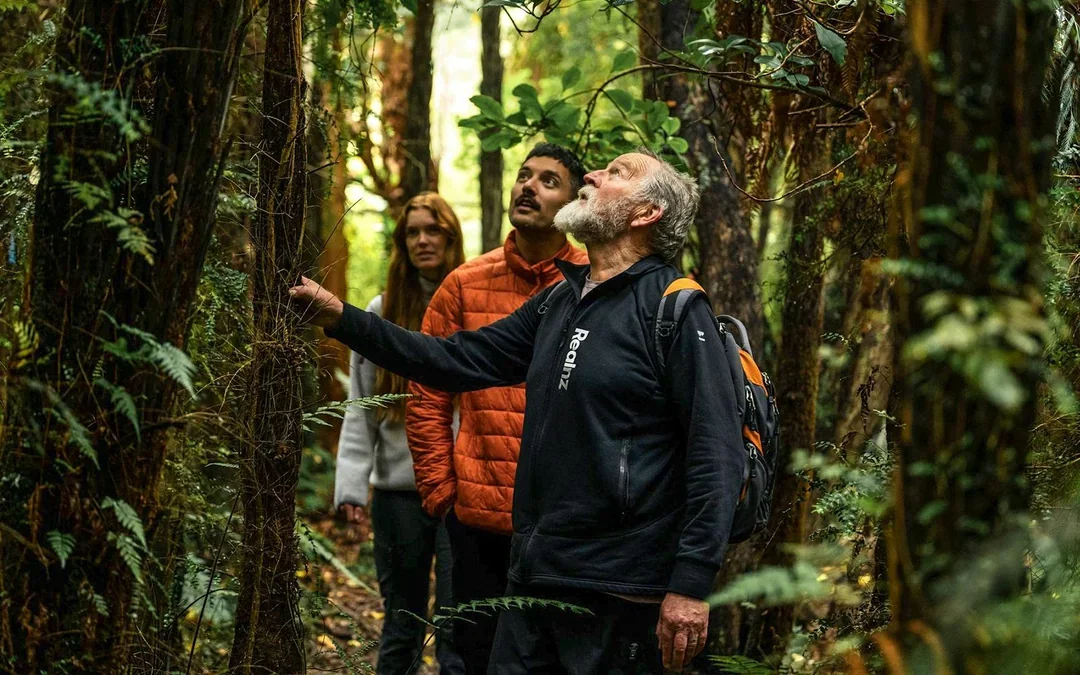 Stewart Island Guided Wilderness Walk Image 4