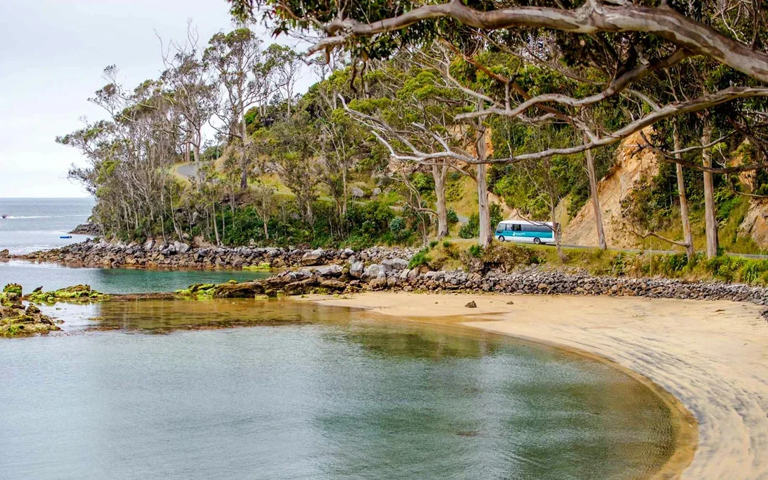 Stewart Island Village & Bays Tour
 Image 2