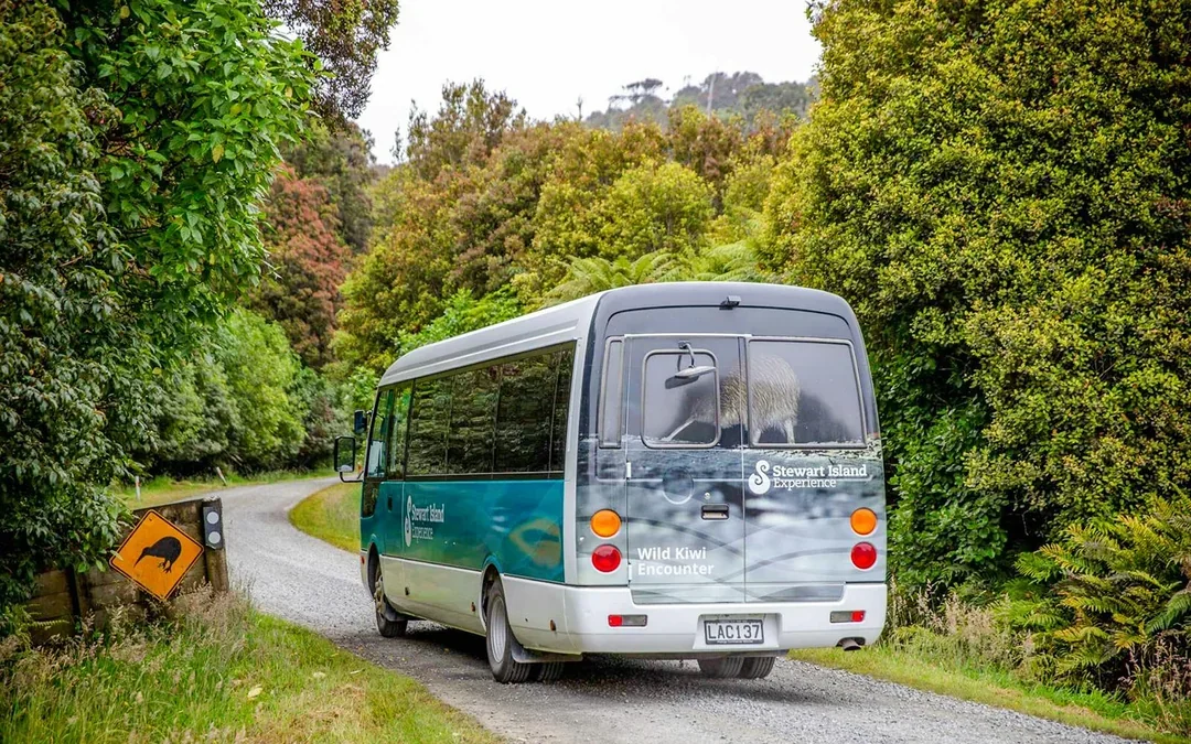 Stewart Island Village & Bays Tour
 Image 11