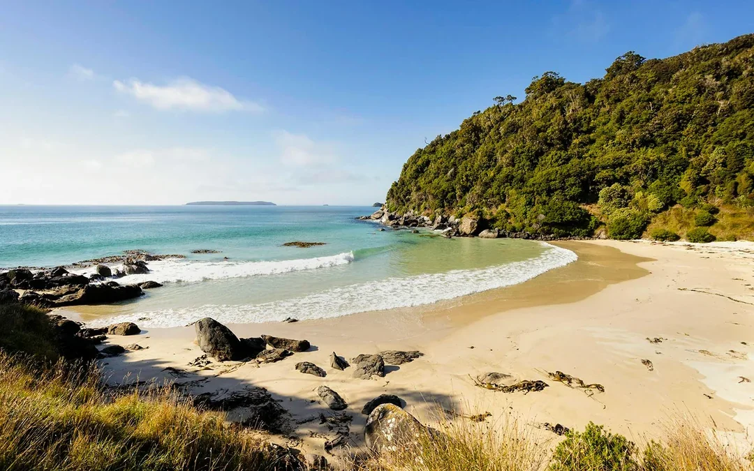 Stewart Island Village & Bays Tour
 Image 5