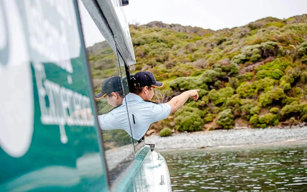 Stewart Island Wild Kiwi Encounter Image 3