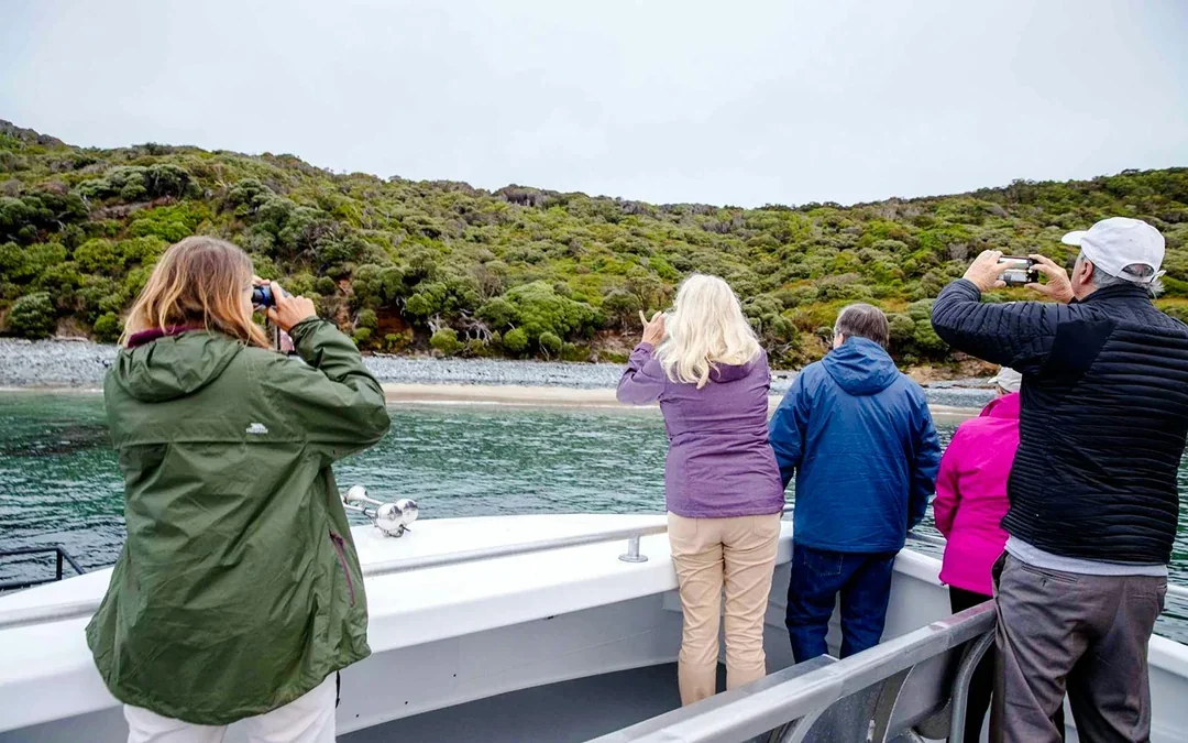 Stewart Island Wild Kiwi Encounter Image 4