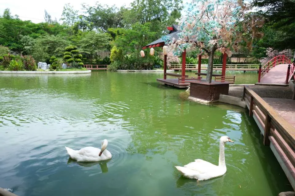 Suan Phueng Private Day Private Charter with Tour Guide Option | Bangkok, Thailand