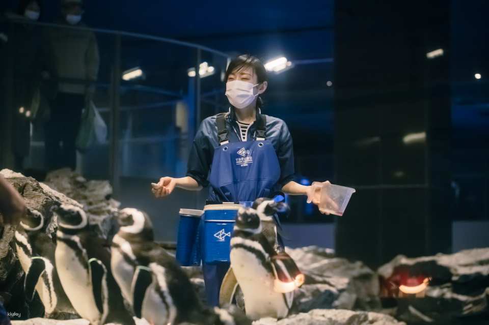 Sumida Aquarium Tickets in Tokyo, Japan