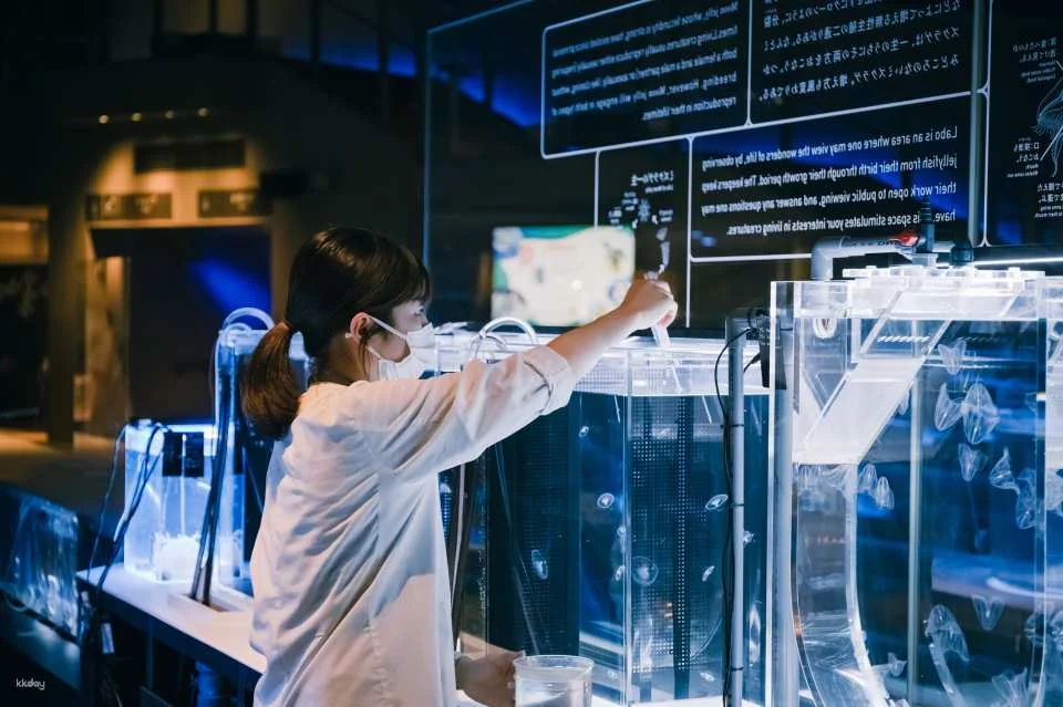 Sumida Aquarium Tickets in Tokyo, Japan