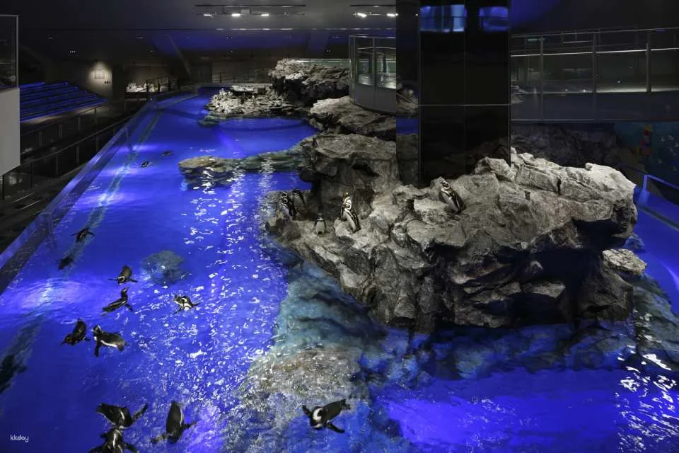 Sumida Aquarium Tickets in Tokyo, Japan