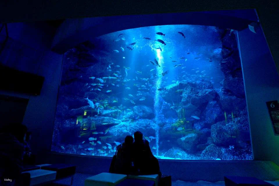 Sumida Aquarium Tickets in Tokyo, Japan