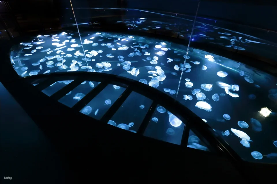 Sumida Aquarium Tickets in Tokyo, Japan