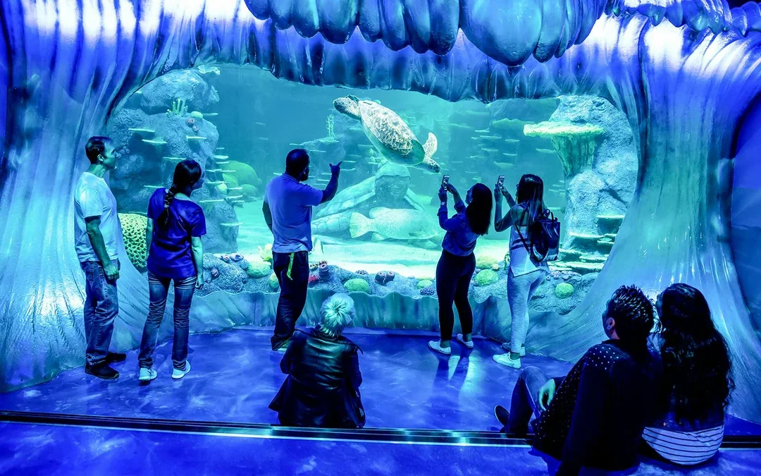 Sydney Multi-Attraction Pass Image 2