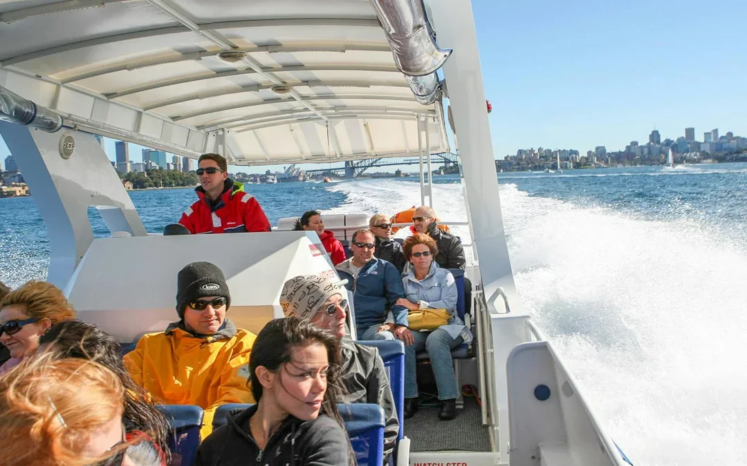 Sydney Whale Watching Cruise with 2-Day Hop-On Hop-Off Ferry Pass Image 2