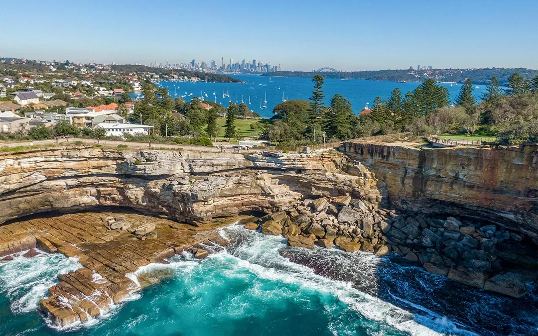 Sydney Whale Watching Cruise with 2-Day Hop-On Hop-Off Ferry Pass Image 8