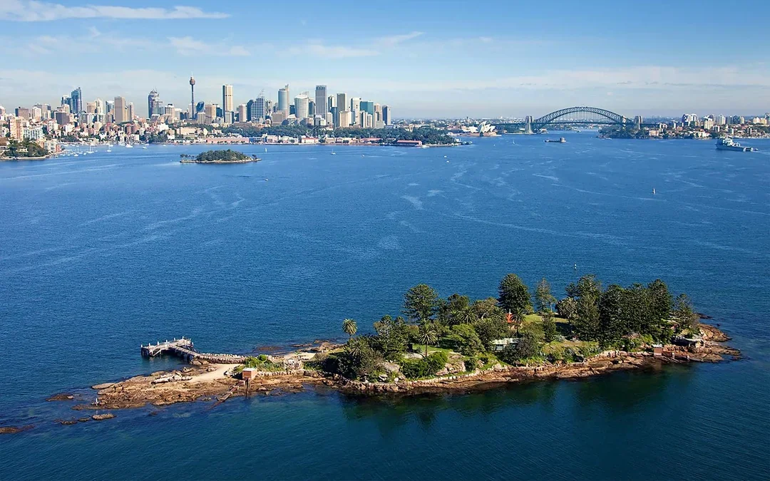 Sydney Whale Watching Cruise with 2-Day Hop-On Hop-Off Ferry Pass Image 9