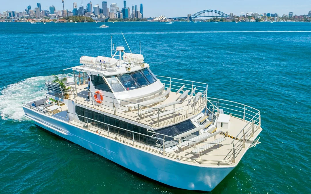 Sydney Whale Watching Cruise with Marine Biologist Commentary Image 3